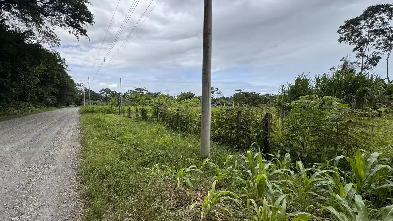 Residential Lot for Sale in Río Frío, Sarapiquí (AD), photo 16