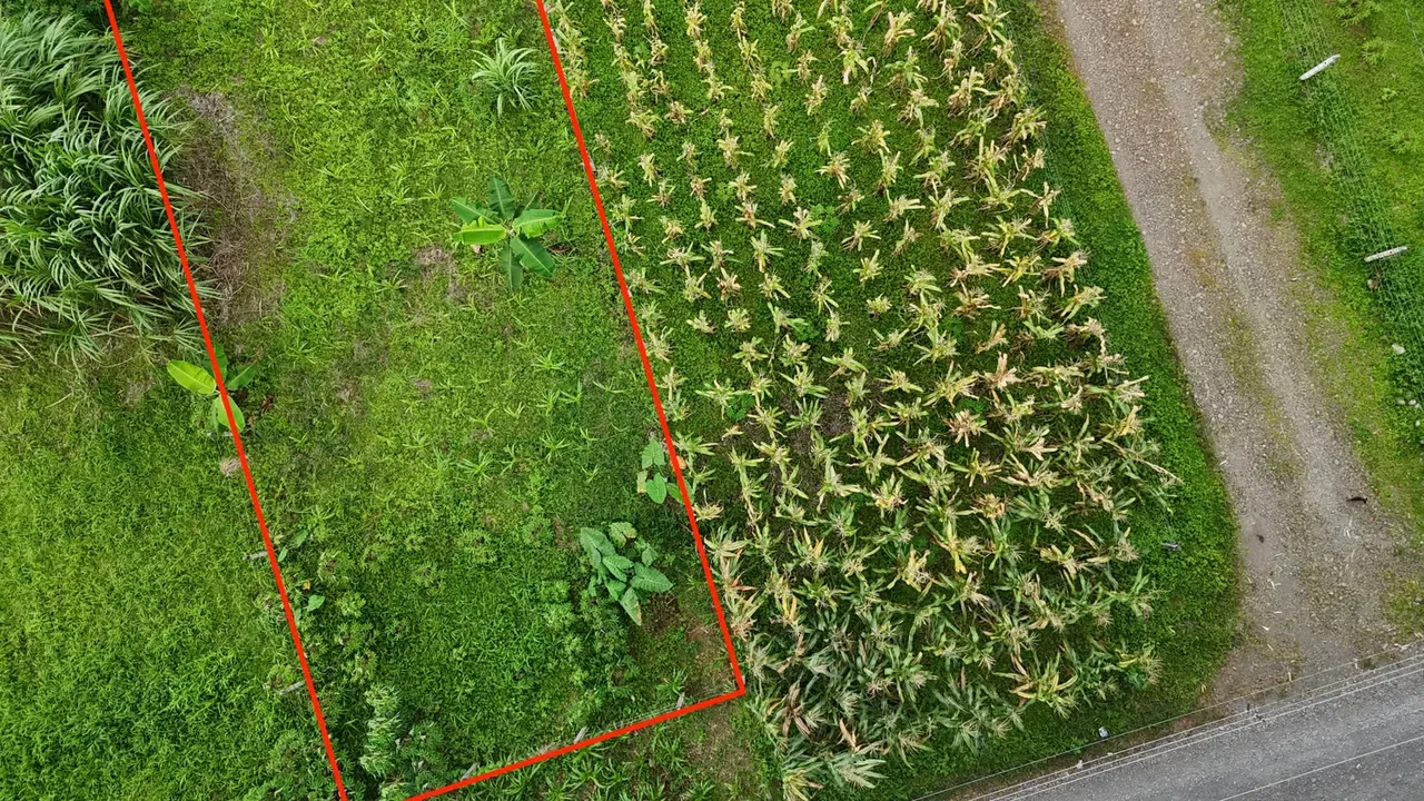 Residential Lot for Sale in Río Frío, Sarapiquí (AD), photo 8