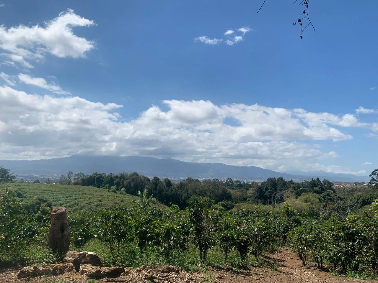Lote en Venta en Concepcion ,San Rafael