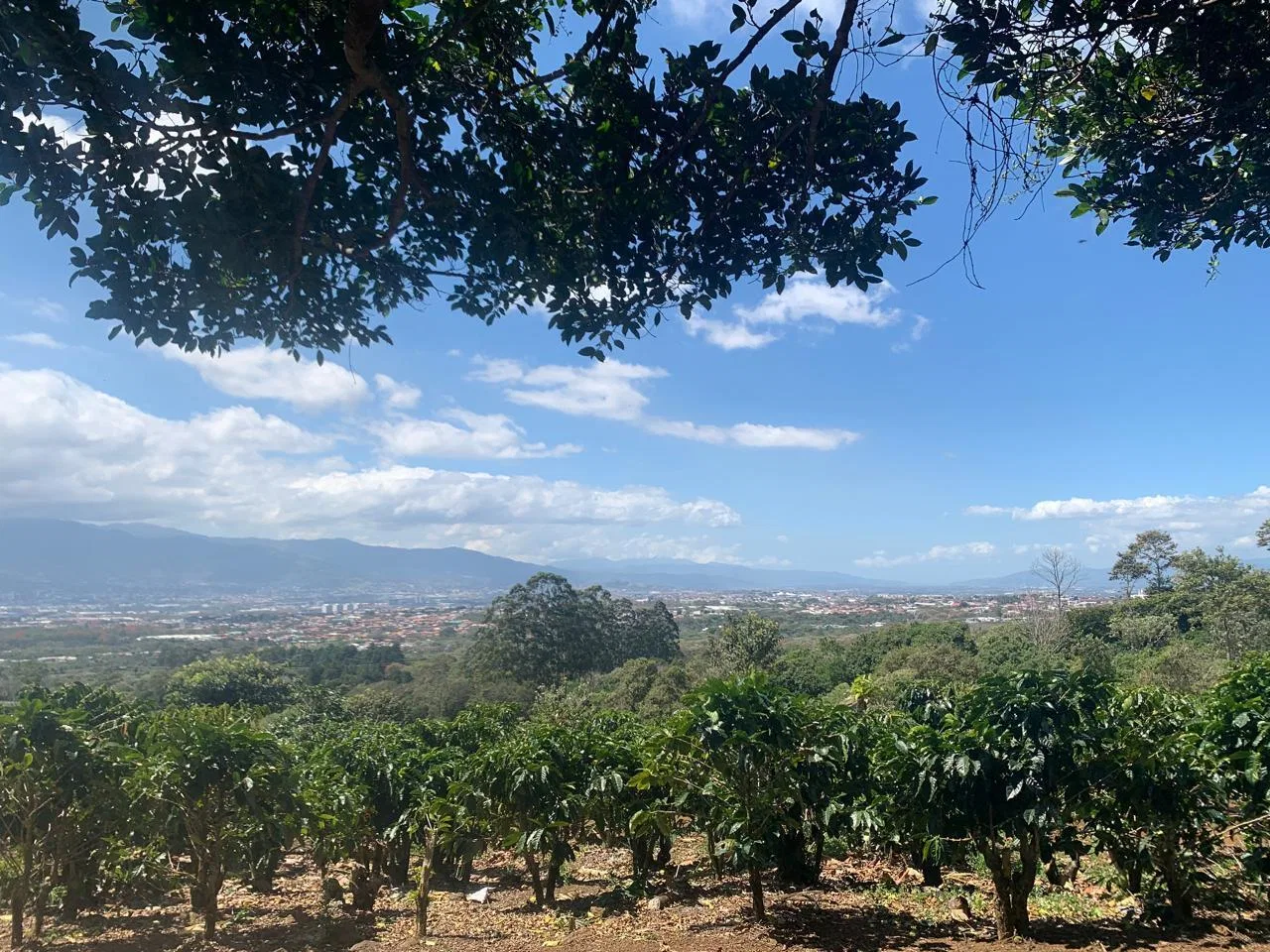 Lote en Venta en Concepcion ,San Rafael, photo 14