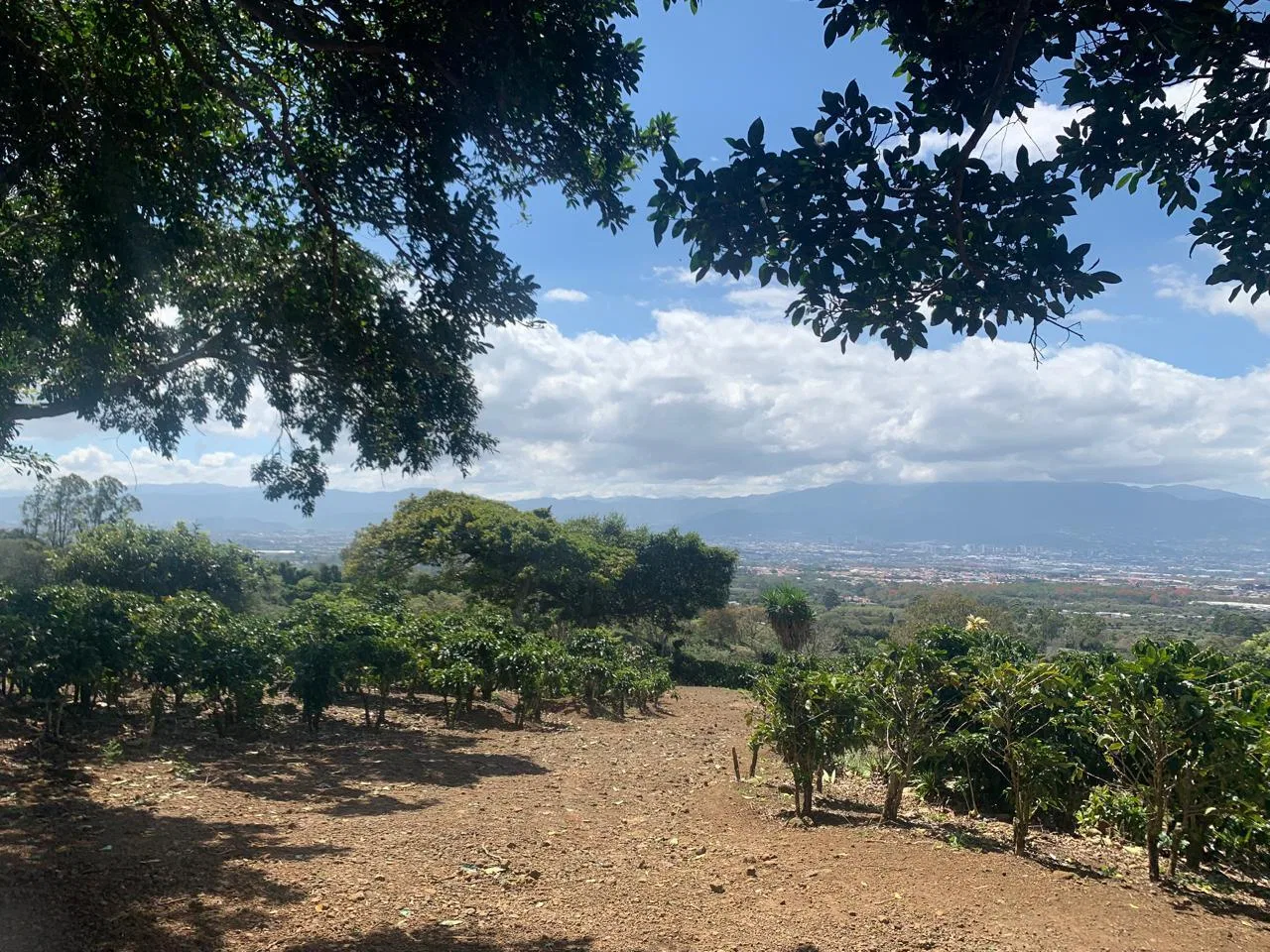 Lote en Venta en Concepcion ,San Rafael, photo 15