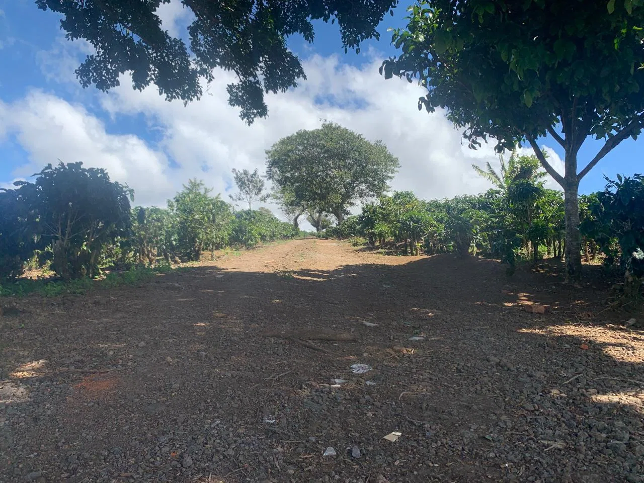 Lote en Venta en Concepcion ,San Rafael, photo 16