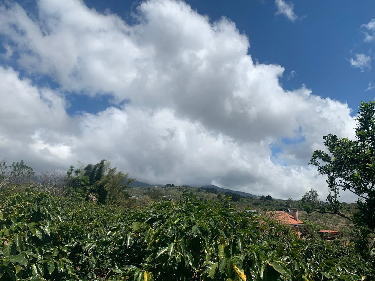 Lote en Venta en Concepcion ,San Rafael, photo 17