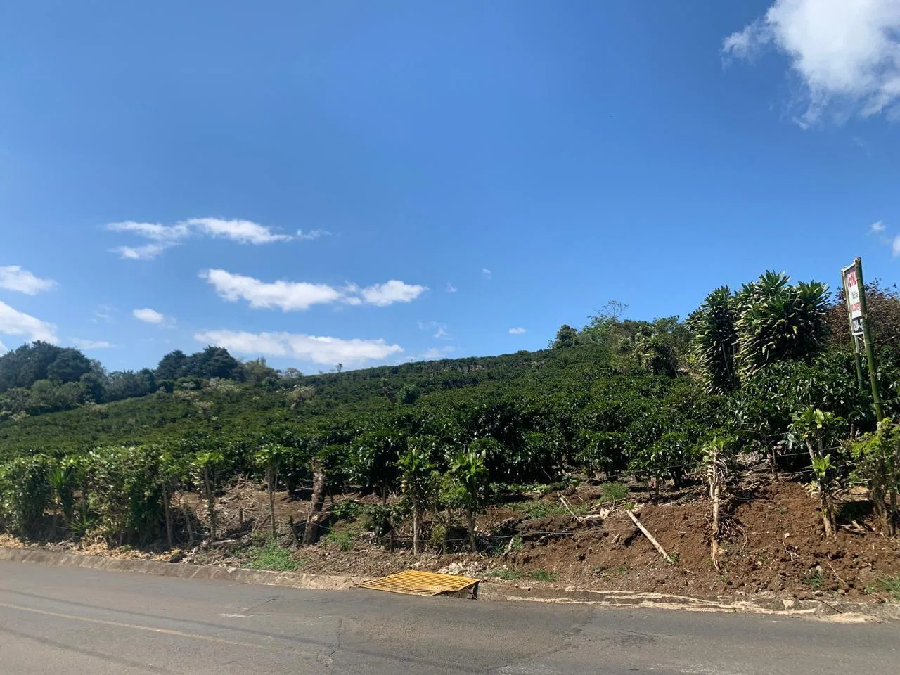 Lote en Venta en Concepcion ,San Rafael, photo 19