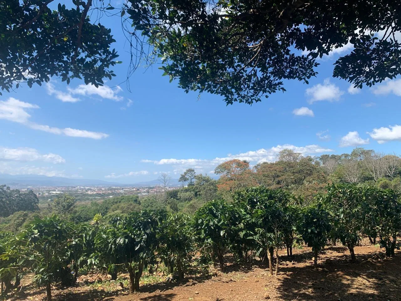 Lote en Venta en Concepcion ,San Rafael, photo 3