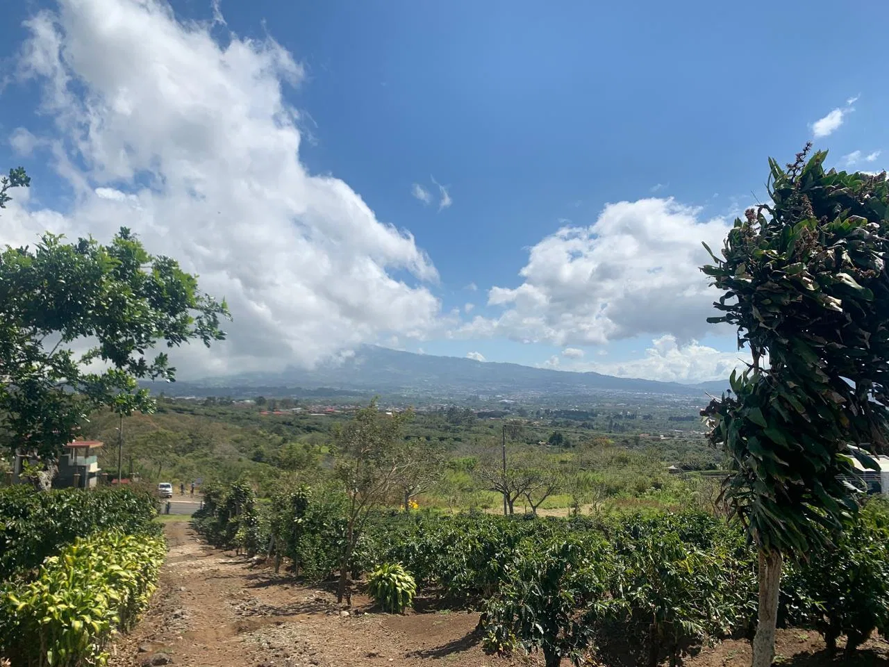 Lote en Venta en Concepcion ,San Rafael, photo 7