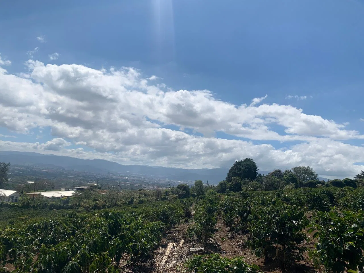 Lote en Venta en Concepcion ,San Rafael, photo 9