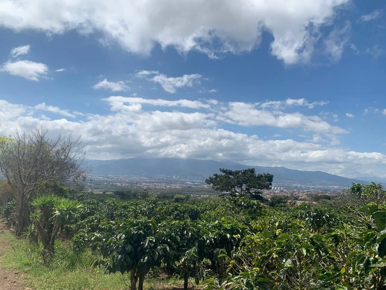 Lote en Venta en Concepcion ,San Rafael, photo 10
