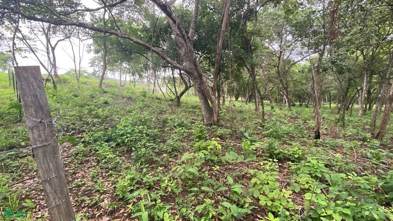 Lote Exclusivo en Rancho Cartagena | 9.506 m² | Cerca de Tamarindo, photo 2