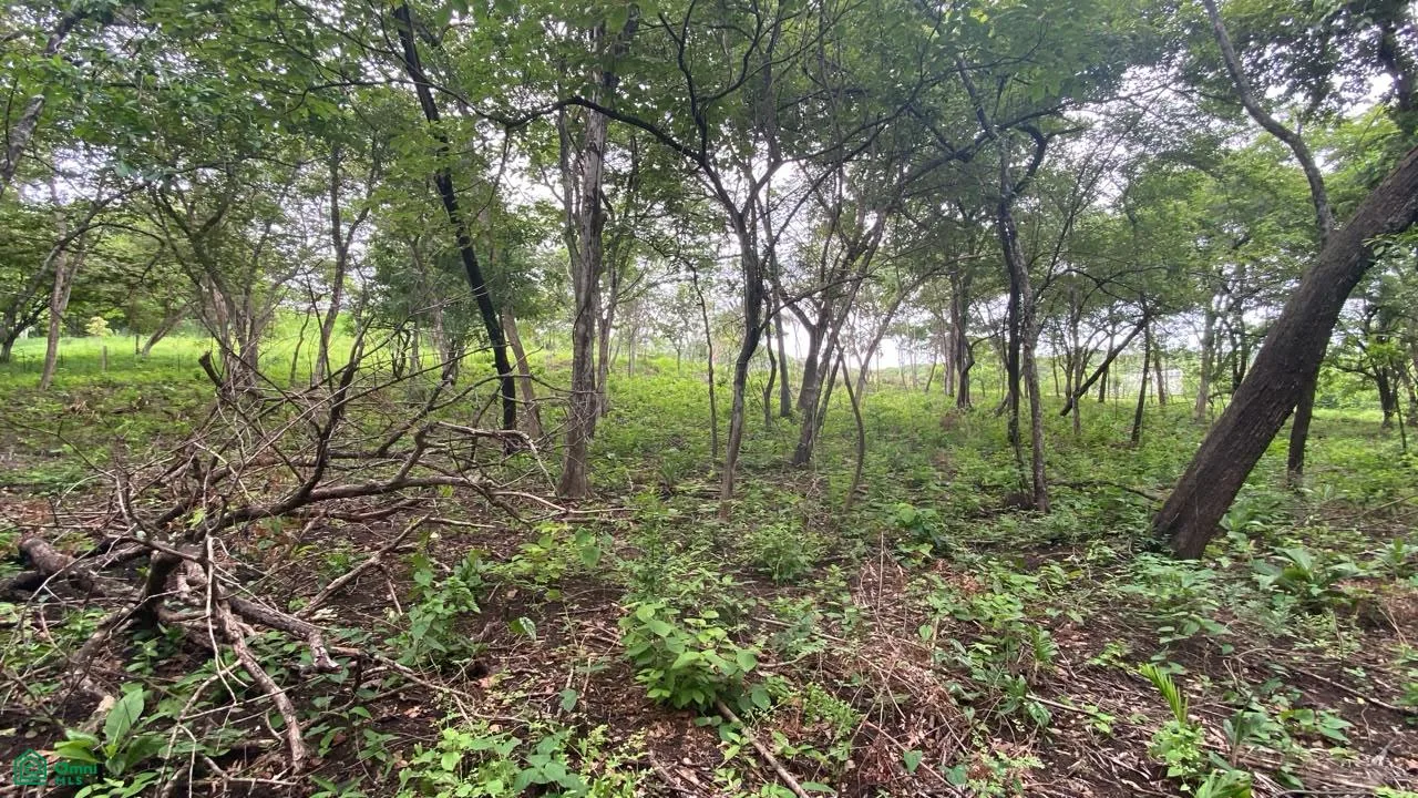 Lote Exclusivo en Rancho Cartagena | 9.506 m² | Cerca de Tamarindo, photo 3