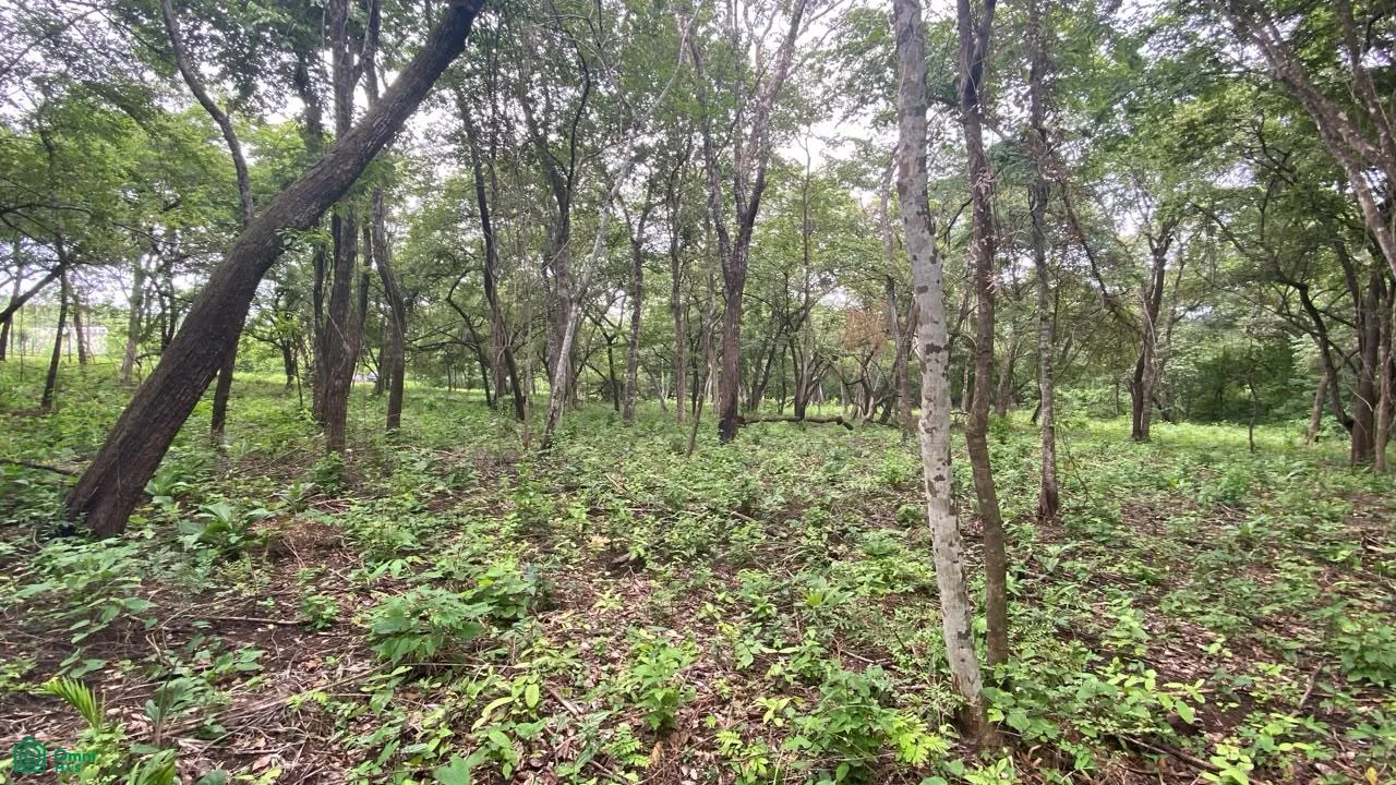 Lote Exclusivo en Rancho Cartagena | 9.506 m² | Cerca de Tamarindo, photo 4