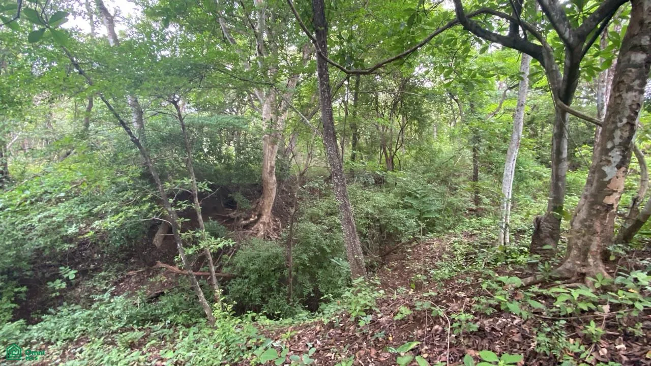 Lote Exclusivo en Rancho Cartagena | 9.506 m² | Cerca de Tamarindo, photo 5