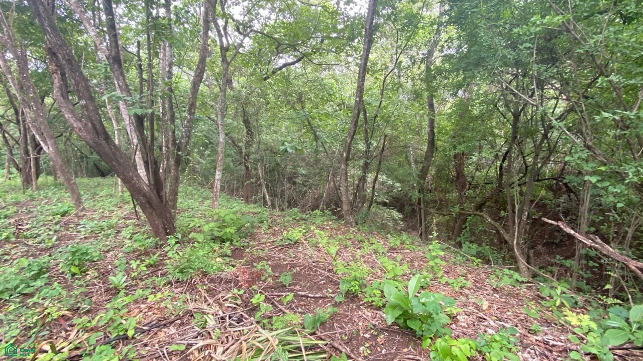 Lote Exclusivo en Rancho Cartagena | 9.506 m² | Cerca de Tamarindo, photo 6