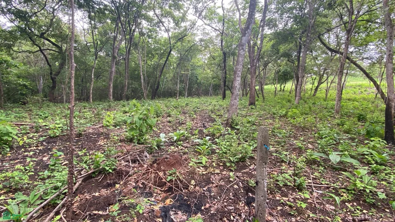 Lote Exclusivo en Rancho Cartagena | 9.506 m² | Cerca de Tamarindo, photo 8