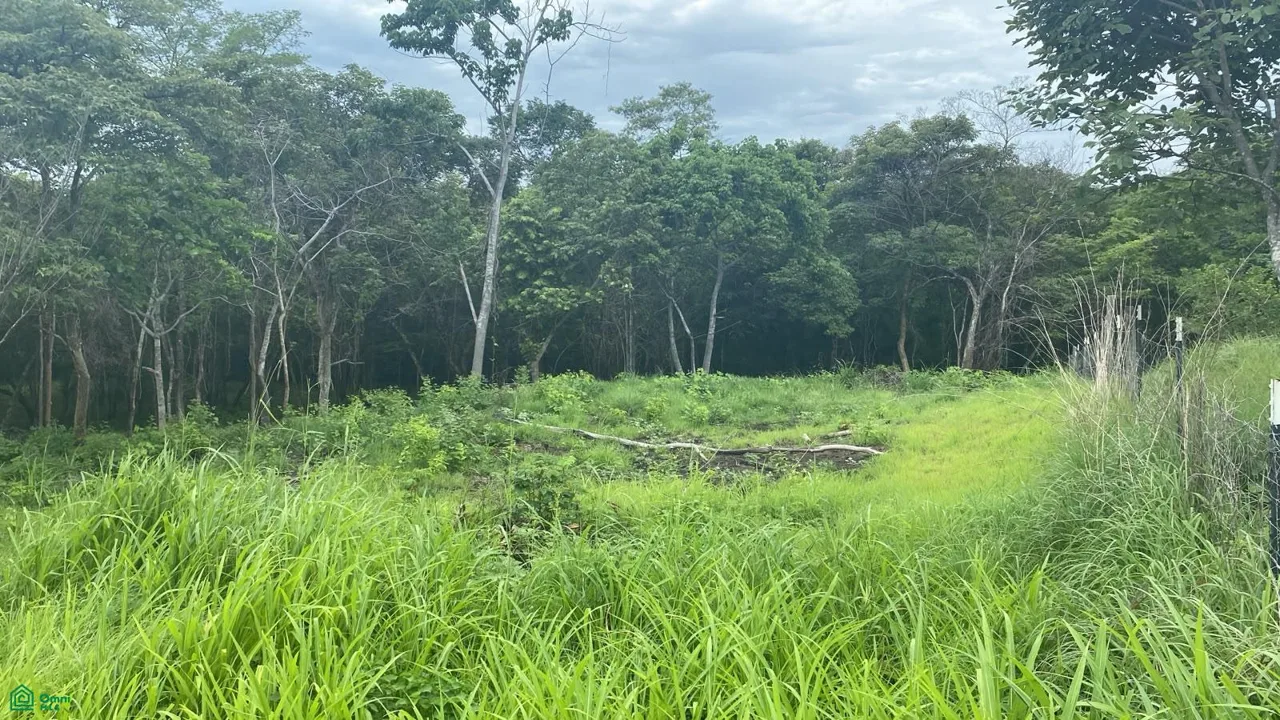 Lote Exclusivo en Rancho Cartagena | 9.506 m² | Cerca de Tamarindo, photo 9