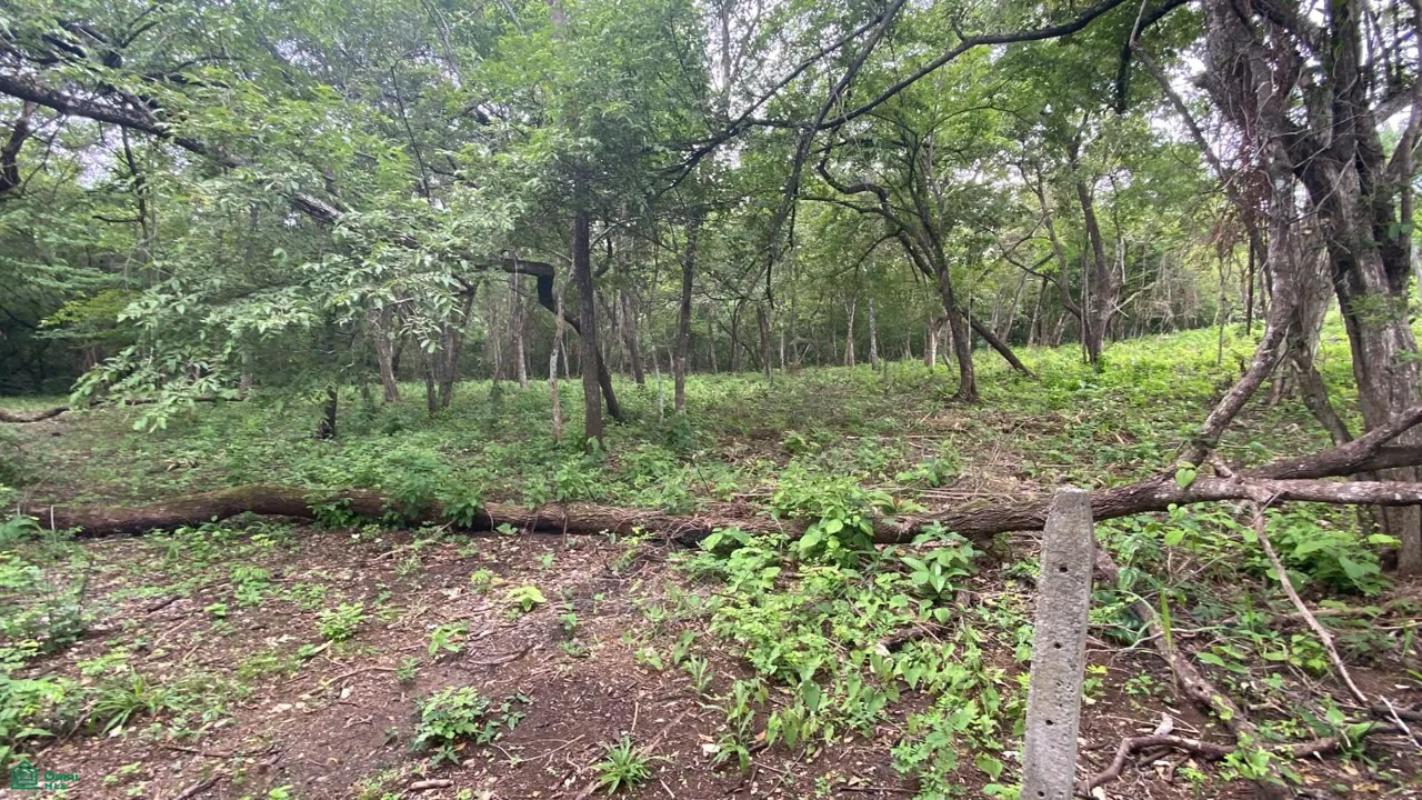 Lote Exclusivo en Rancho Cartagena | 9.506 m² | Cerca de Tamarindo, photo 10