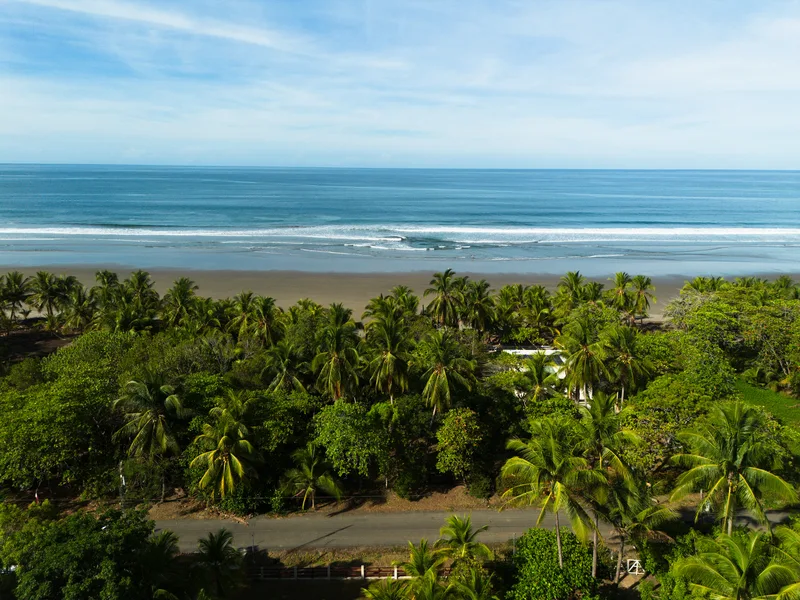 Land For Sale in Playa San Miguel, photo 3