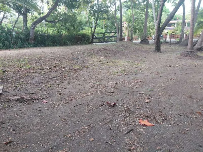 Land For Sale in Playa San Miguel, photo 5