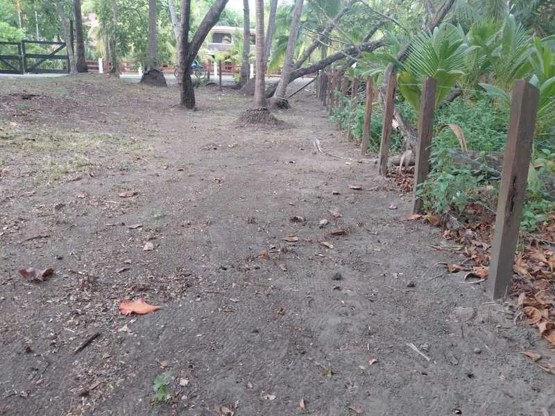 Land For Sale in Playa San Miguel, photo 6