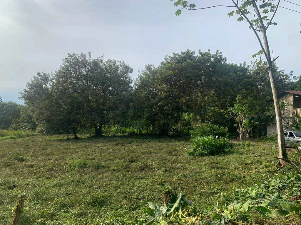 WALK TO BEACH DEVELOPMENT LAND – 1.5 ACRES, photo 15