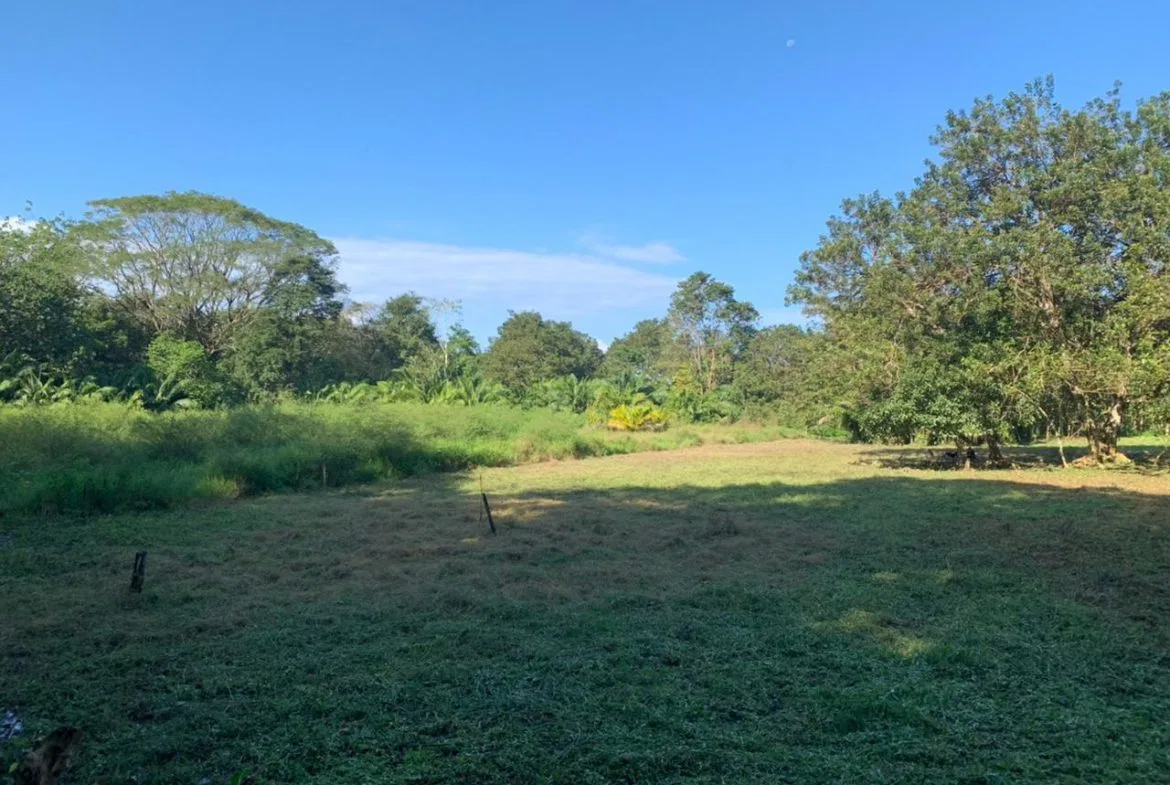 WALK TO BEACH DEVELOPMENT LAND – 1.5 ACRES, photo 17