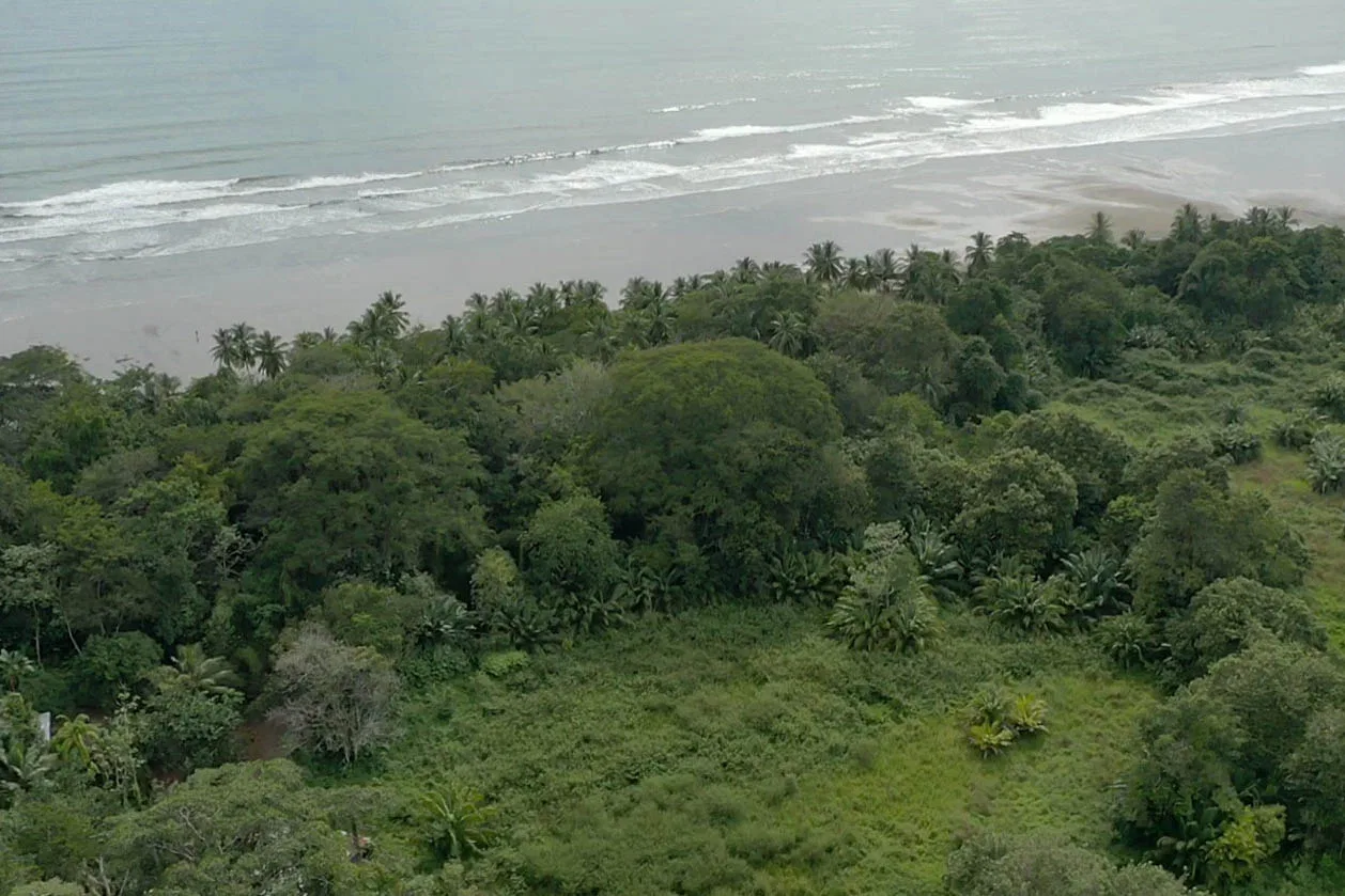 WALK TO BEACH DEVELOPMENT LAND – 1.5 ACRES, photo 3