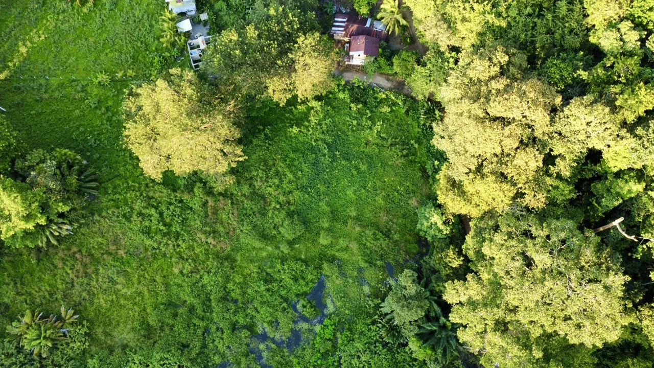 WALK TO BEACH DEVELOPMENT LAND – 1.5 ACRES, photo 24