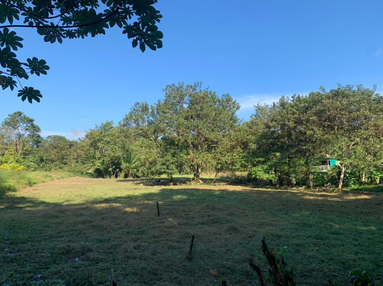 WALK TO BEACH DEVELOPMENT LAND – 1.5 ACRES, photo 5