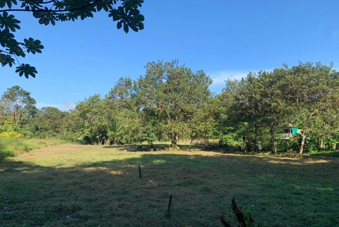 WALK TO BEACH DEVELOPMENT LAND – 1.5 ACRES, photo 6