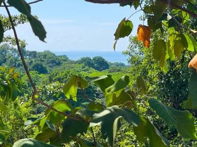 Exclusivo refugio en la ladera de Ojochal, Costa Rica: el sueño de un amante de la naturaleza, photo 4