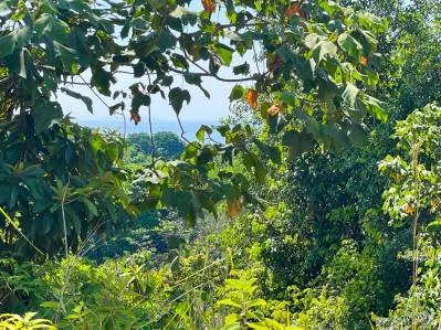 Exclusivo refugio en la ladera de Ojochal, Costa Rica: el sueño de un amante de la naturaleza, photo 10