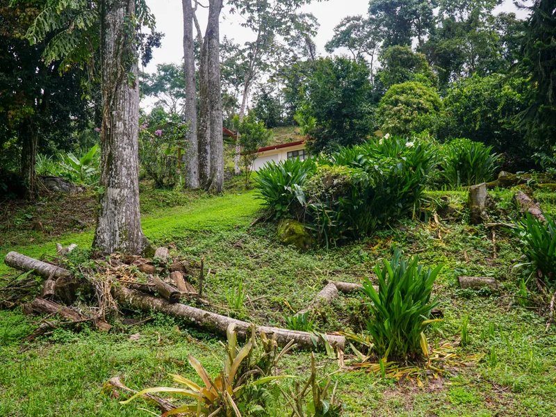 3 Bed Single Family Homes For Sale in Perez Zeledon, photo 14