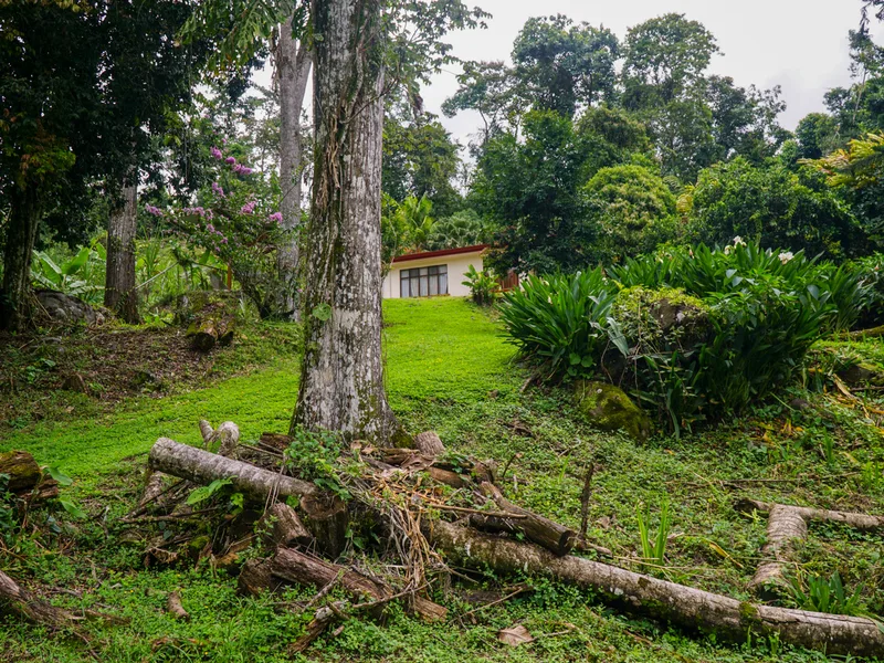 3 Bed Single Family Homes For Sale in Perez Zeledon, photo 15