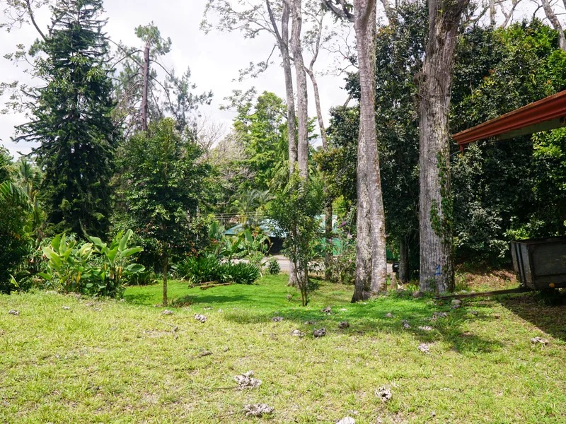 3 Bed Single Family Homes For Sale in Perez Zeledon, photo 7
