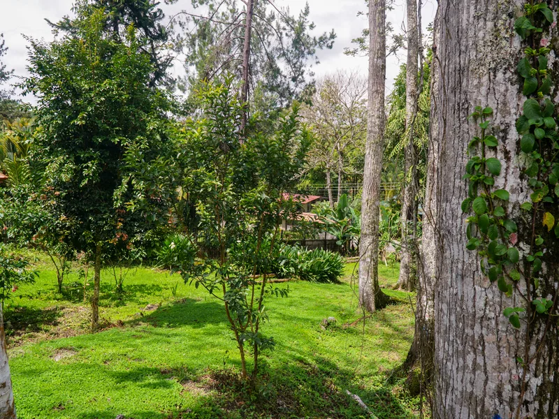 3 Bed Single Family Homes For Sale in Perez Zeledon, photo 9