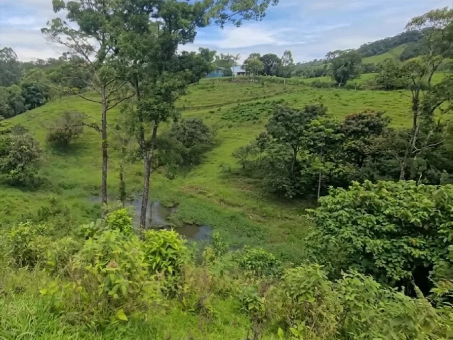 VENTA DE LOTE, RESIDENCIAL Y AGROPECUARIO, HEREDIA, SARAPIQUI, photo 5
