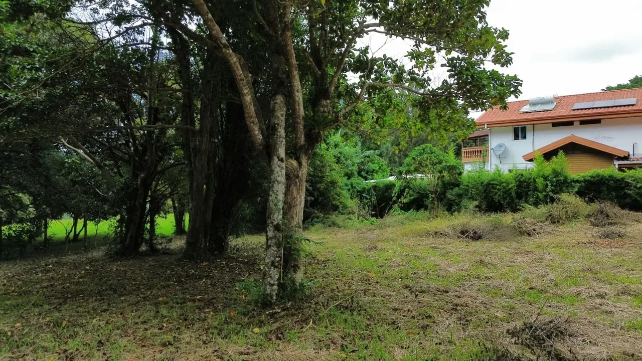 Un lugar donde el aire es más fresco, los paisajes más verdes y la vida se siente más tranquila., photo 2