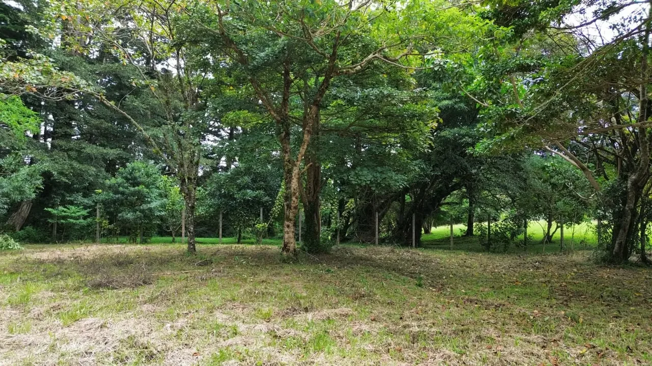 Un lugar donde el aire es más fresco, los paisajes más verdes y la vida se siente más tranquila., photo 3
