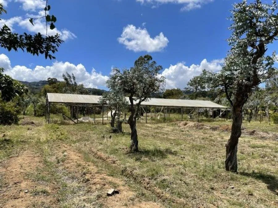 VENTA DE QUINTA, HEREDIA - Venta en San Isidro, photo 14