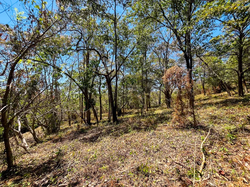 Land For Sale in Playa San Miguel