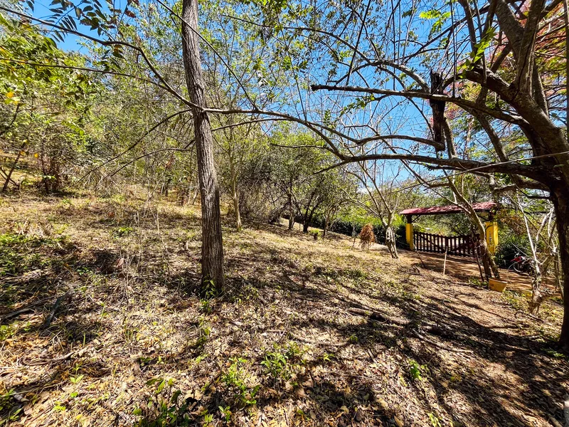 Land For Sale in Playa San Miguel, photo 2