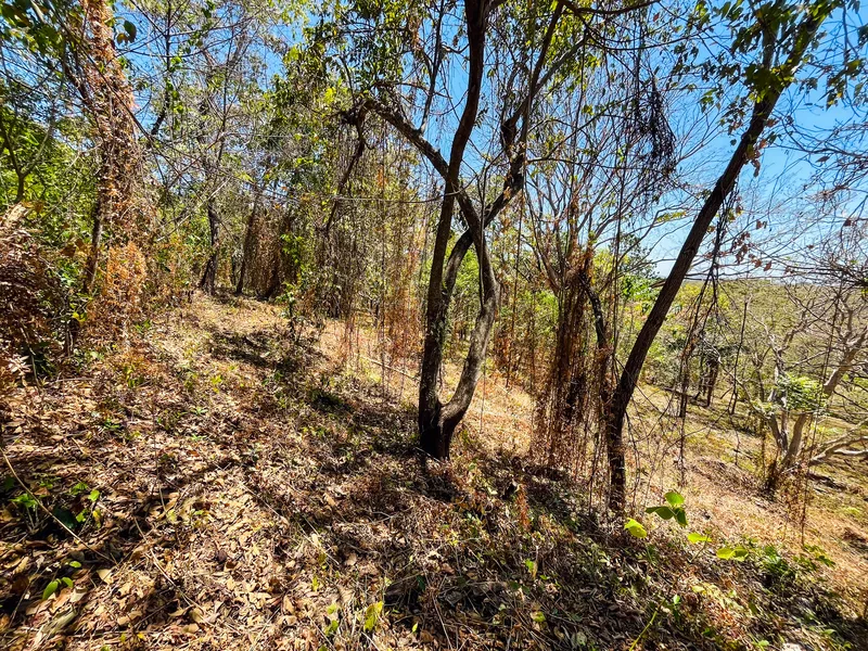 Land For Sale in Playa San Miguel, photo 3