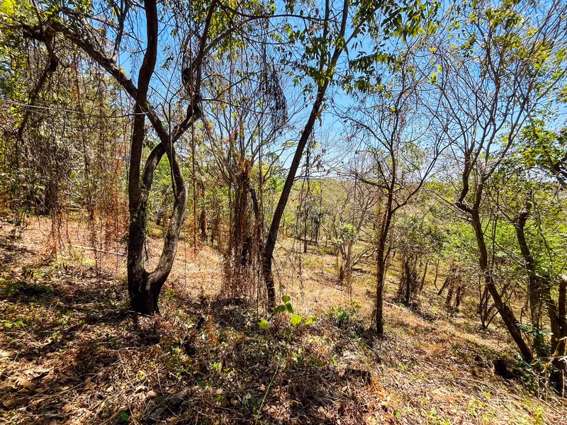 Land For Sale in Playa San Miguel, photo 4