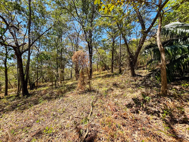 Land For Sale in Playa San Miguel, photo 5