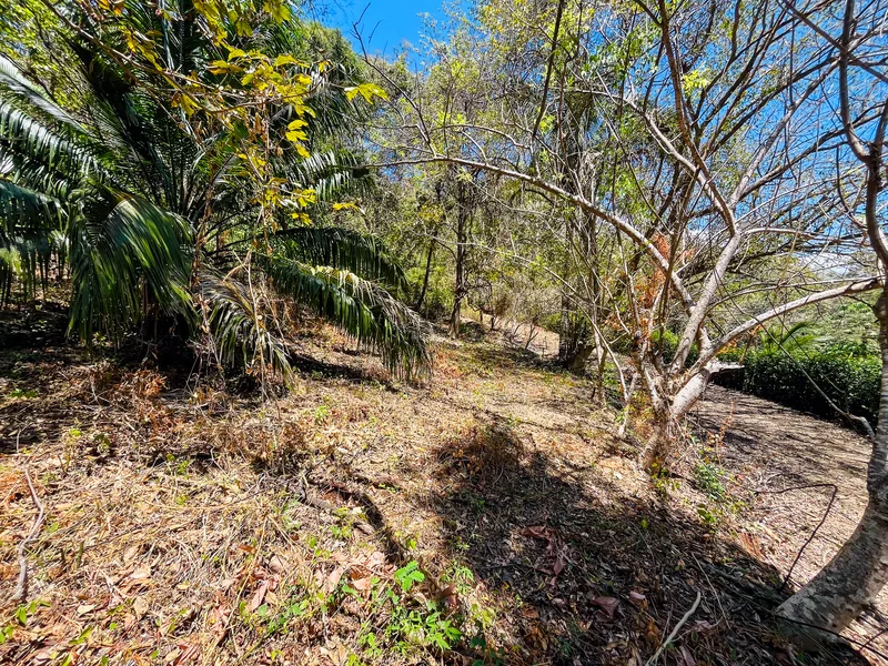 Land For Sale in Playa San Miguel, photo 6