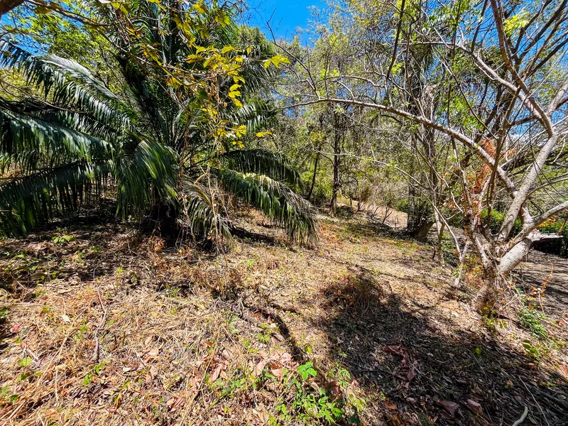 Land For Sale in Playa San Miguel, photo 7