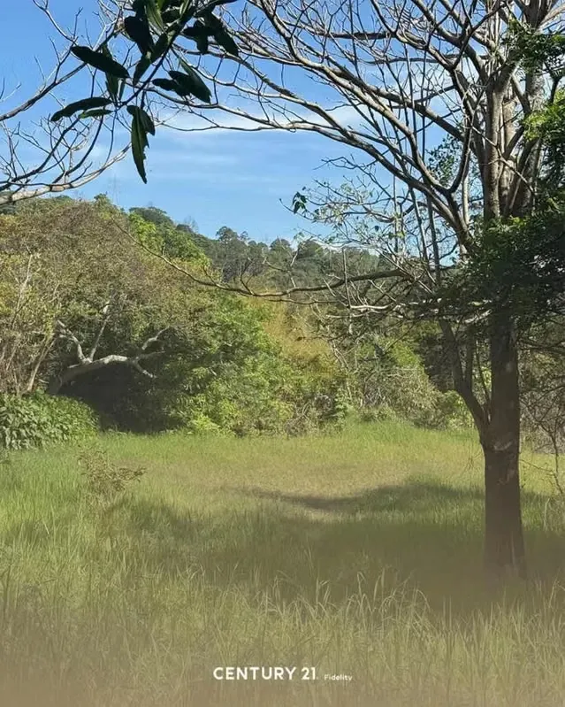 Lot for sale in Desamparados, photo 11