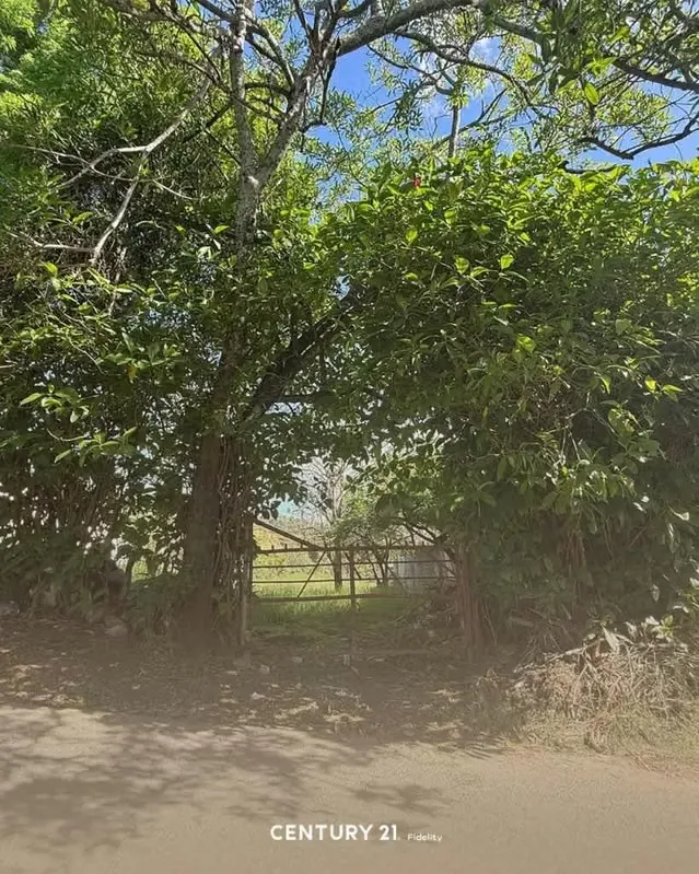 Lot for sale in Desamparados, photo 10