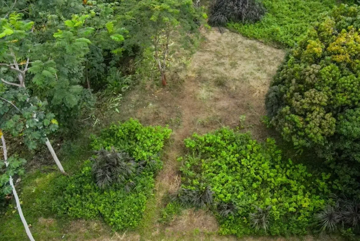 BUILDING JUNGLE PROPERTY NEAR THE RIVER, IN OJOCHAL – 2.44 ACRES, photo 2
