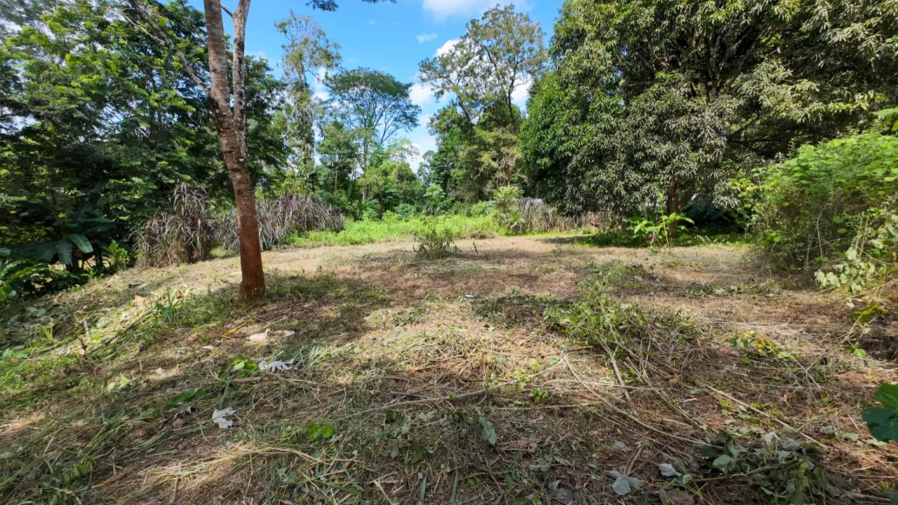 BUILDING JUNGLE PROPERTY NEAR THE RIVER, IN OJOCHAL – 2.44 ACRES, photo 11